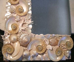 split white polished nautilus and abalone seashell mirror