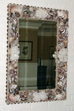coral natural nautilus polished seashell mirror