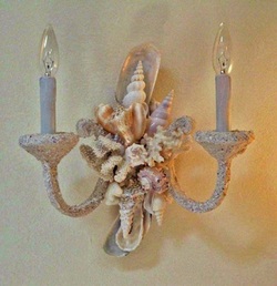 Click to see MORE seashell sconces!
